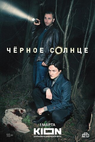 Чёрное солнце постер
